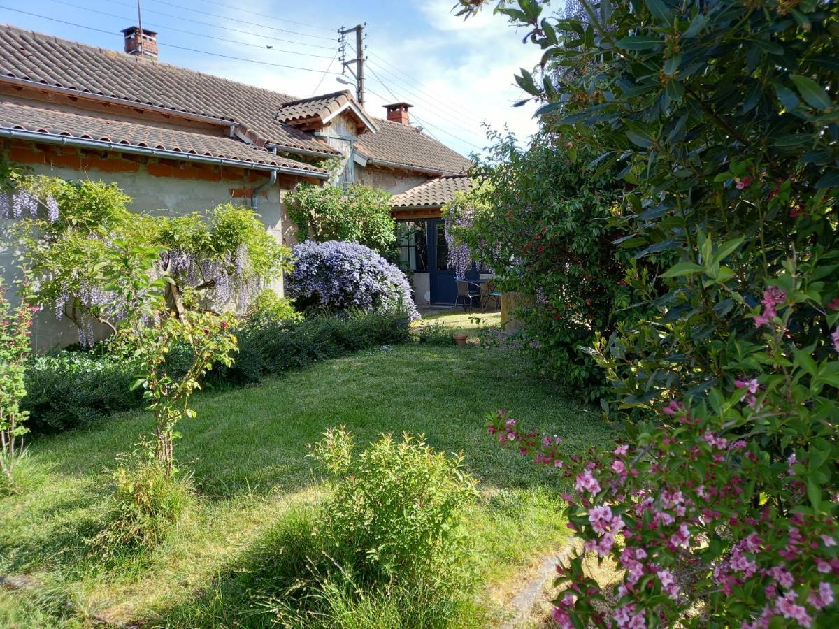 La Maison Molieres Montauban Dış mekan fotoğraf