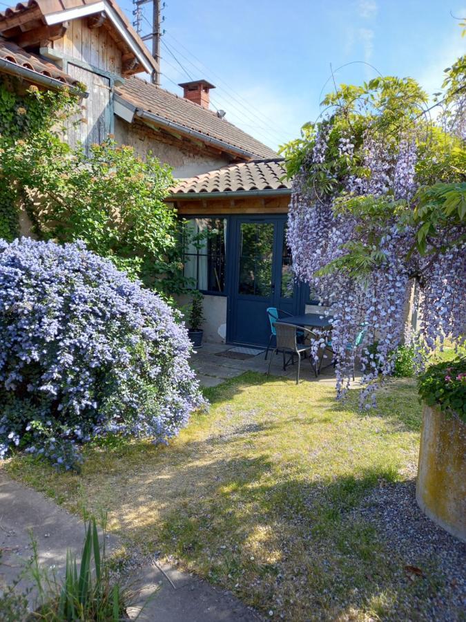 La Maison Molieres Montauban Dış mekan fotoğraf